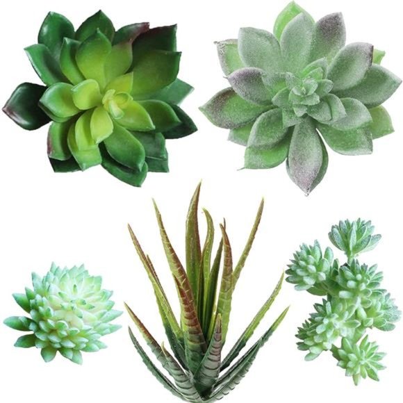 5Pcs Assorted Artificial Succulents Plants Unpotted Small Green Cactus Fake Faux - Picture 1 of 7